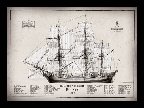 10) HMS Bounty 1787 - signed open print